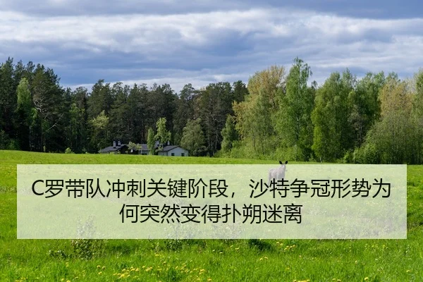 C罗带队冲刺关键阶段，沙特争冠形势为何突然变得扑朔迷离
